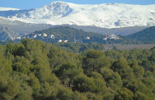 Apartamentos Turísticos Cumbres Verdes - Foto 49