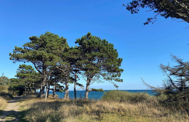 16 Person Holiday Home in Vejby - Foto 4