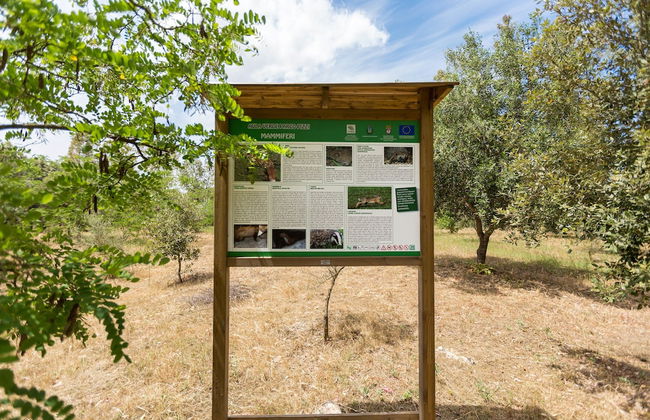 Villa Pizzi - Foto 33