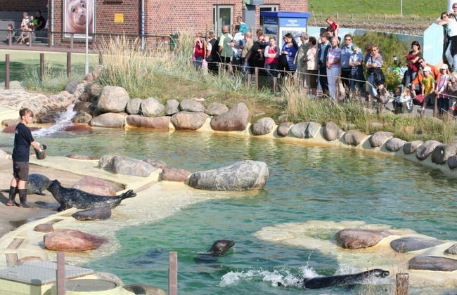 Buschsand Lee Comfortable Holiday Residence - Foto 17