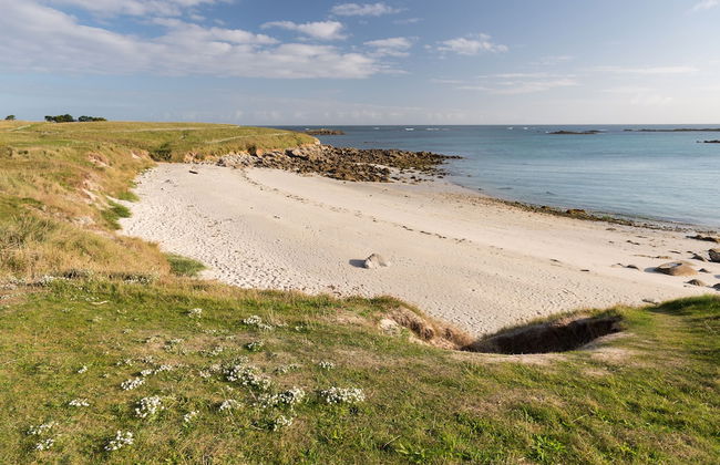 Jardin Colonial - Rêves de Mer - Foto 1