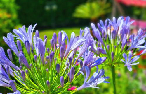 Casa Vacanze Family - Foto 47