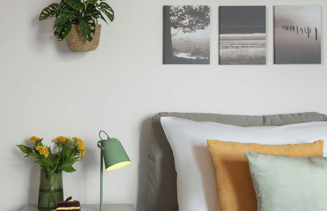 Zelný Trh Boutique Apartments #11 by Goodnite cz - Foto 8