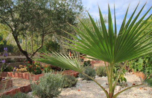 Orhideja Apartment - Foto 7