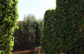 Aldea 2 Cala Fornells - Foto 72