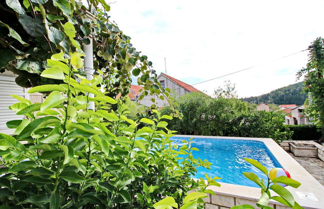 Green Garden House - Photo 33