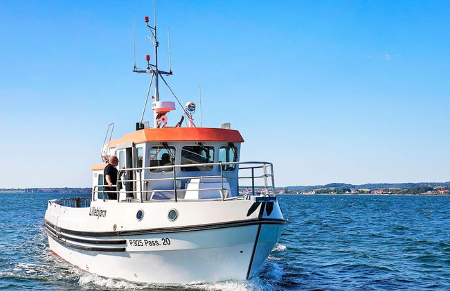 Holiday Home in BjÃ¸rnÃ¸ - Photo 4