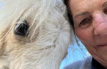 Les Genêts - Foto 40