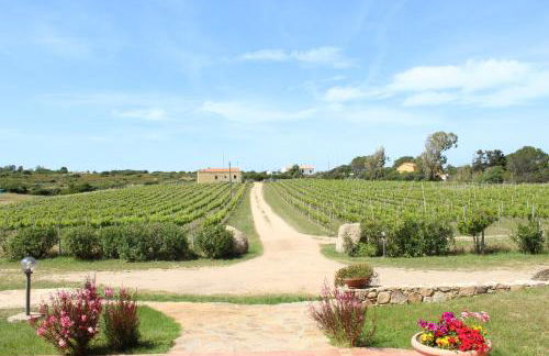 Agriturismo Campesi casale tra le vigne - Photo 79