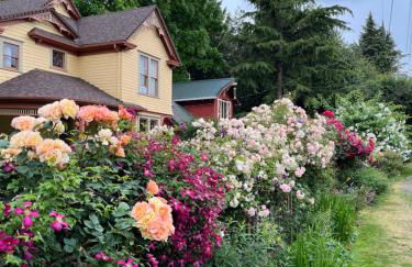 Come Home To A Place You've Never Been Before - Foto 9