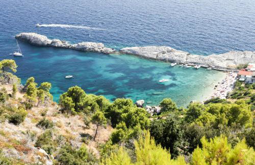 Robinson Stevica - Photo 4