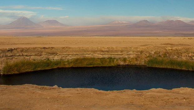 Excursión a la laguna Cejar, Tebenquiche y los Ojos del Salar - Foto 3