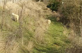 La Roche Bellevue - Foto 44