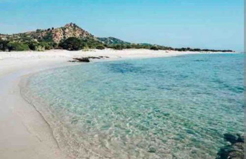 Under the Lemon Tree - Foto 22