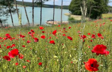 Nature Home Rybical - Foto 4