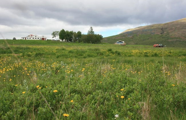 Eyvindartunga Farm Cottage - Foto 10