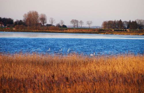 Gut-Rattelvitz-Galerie-F-hochwertig-Sauna-Kamin-eTankstelle-Spielscheune-15-000qm-Park-Land - Foto 71