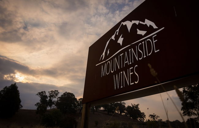 Blue House at Mountainside Wines - Foto 15