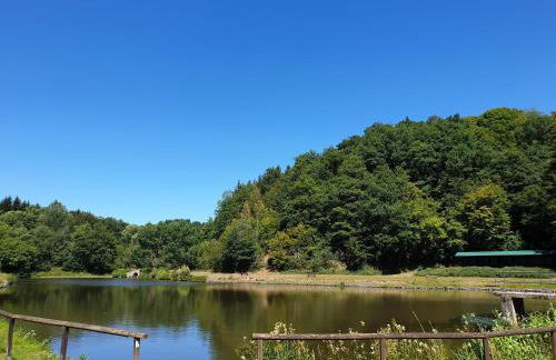 Ferienhaus Dreier-Ley - Foto 21