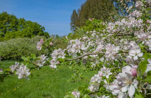 1 Bed in Burnham Overy Town oc-o31908 - Foto 24