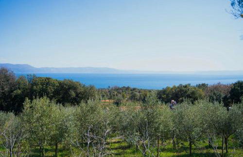 Roinizza in Prtlog (Haus für 4-5 Personen) - Foto 31