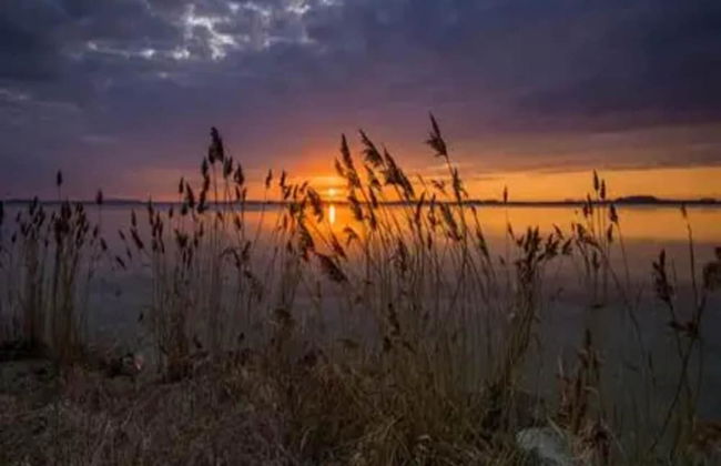 Ferienwohnung Grosser Seestern in Wiek - Foto 30