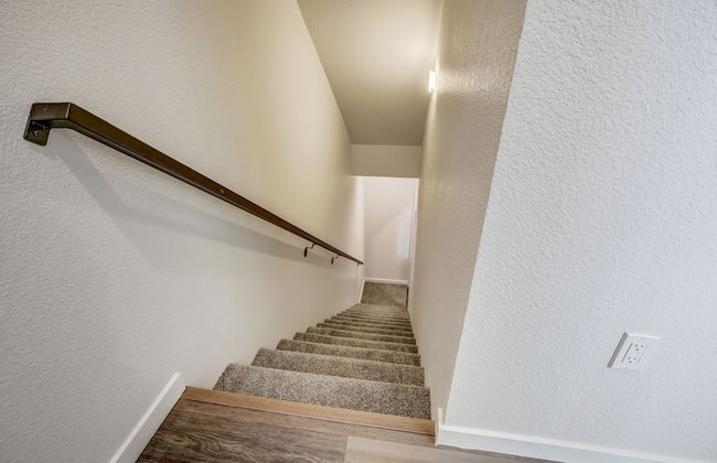 Rising Star - Photo 47