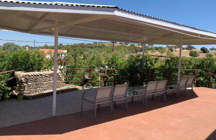 Casa Monte da Eira - Foto 14