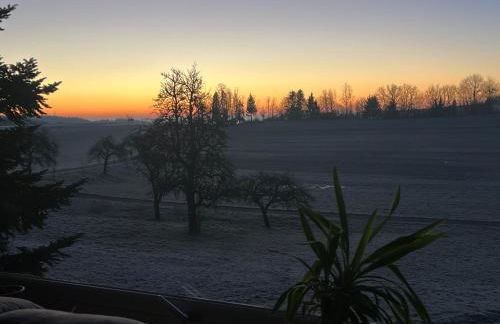 Ferienwohnung zur Falkenlay Bad Bertrich - Photo 5