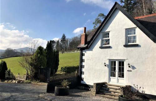 3 Bed in Conwy oc-typll - Photo 19