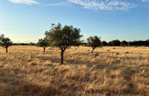 Casas de Sao Miguel - Foto 46