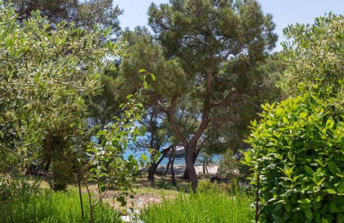 Apartments Silvana - Foto 48