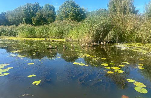 Baltic Riviera - Foto 19