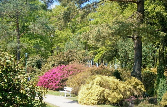 "La Mer" Haus Windrose - Photo 22