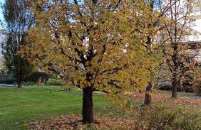 Il comfort dello spazio, in un bilocale - Foto 28