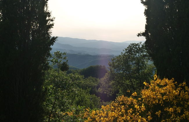 Villa Panorama - Photo 55