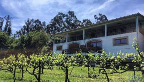 Quinta da Quinta - Foto 5