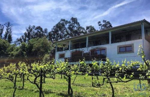 Quinta da Quinta - Foto 5