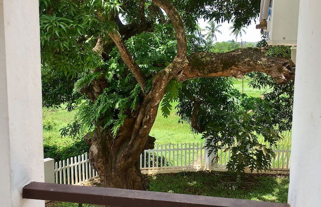 Monarch suites - Photo 48