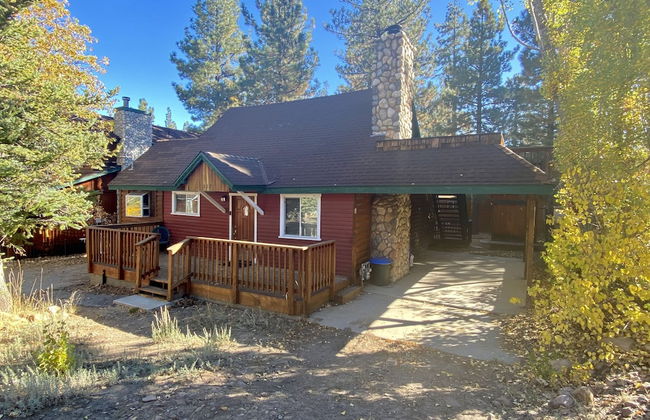 Bear Pause - Foto 22