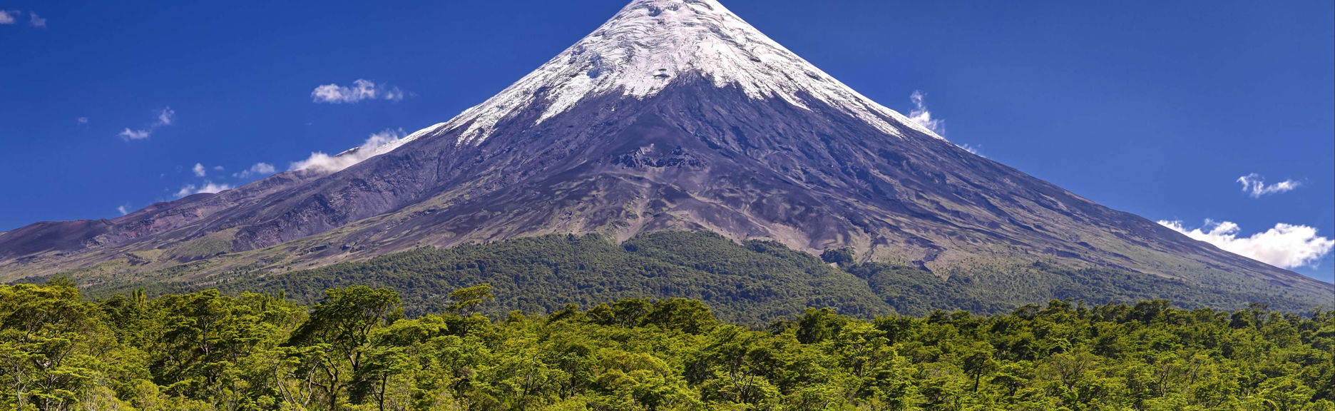 Tour in Puerto Varas - Photo 1