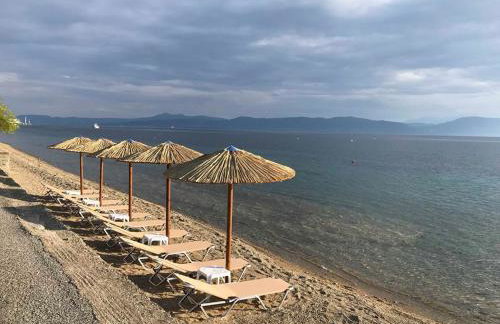 Mamanis Studios - Foto 8