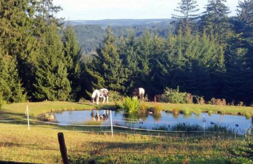Landhaus Haid - Foto 29