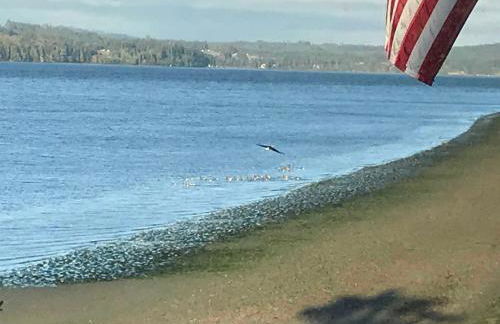 Bay Cottage - Foto 18