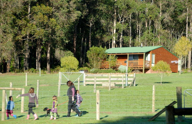 Diamond Forest Farm Stay - Foto 29