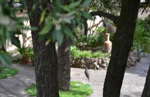 case vacanza Il Castello - Foto 16