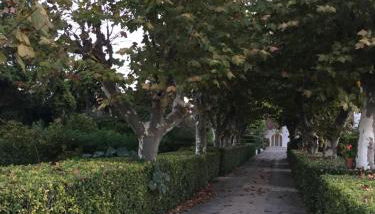 Casa do Hibisco - Foto 3