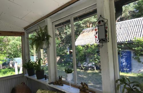 Augustówka - letnisko na Wrzosowiskach - Foto 19