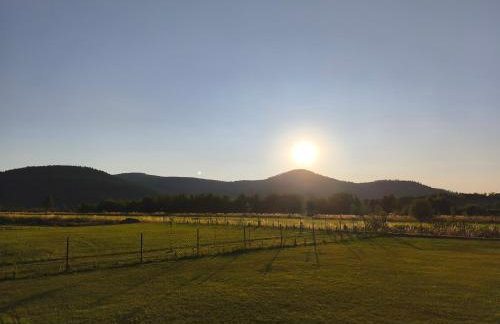 Apartament panorama - Foto 8