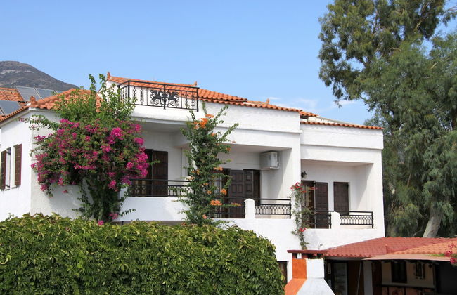 Hotel Mary - Foto 43